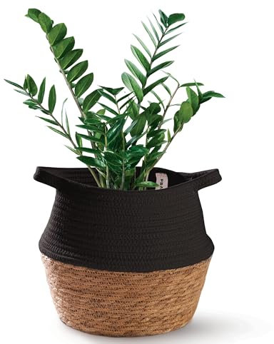 Praknu Panier Osier en Jonc de Mer et Coton Durable - Diamètre de 27 cm - Pot de Fleurs - Cache Pot pour Plantes Intérieur, Rangement et Décoration (Noir)