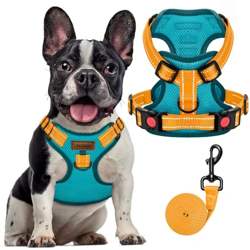 FAYOGOO Arnés para Perro, Arnés Anti-Tirónes para Perros Arnés Cómodo Arnés para Perros de Malla de Aire, Ajustable, Reflectante, Fácil Control del Mango (Azul,M)