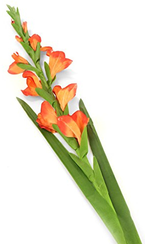 Floral Elegance Lot de 6 glaïeuls artificiels 118 cm