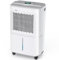 Crecolife Deumidificatore Elettrico a Risparmio Energetico, 12 L/24 H, 190 W, per 20 m² con Display Digitale e Pannello di Controllo Touch, 3 Modalità di Deumidificazione, 2 opzioni di