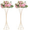 Warmiehomy 2 Pcs Gold Flower Stand, 58cm Wedding Centrepieces for Table, Geometric Vases for Wedding Reception Party Birthday Events Festival Celebration Decoration