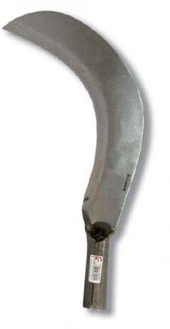 Flores Cortés - Tajamata catalan n.1