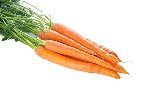 Möhren Samen Karotten Juwarot Gemüsesamen ca 2000 Korn Garten Hochbeet Saatgut Gemüse Möhrensamen Karottensamen Lange Möhre AlexLand