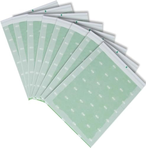 Generico Trappola per Vespe All'aperto, Insetticida Impermeabile, 2 Pezzi Trappola Mosche con 8 Adesivi Sostitutivi Non Tossico, Insetti Trappola per Vespe Calabroni, Zanzare, Mosche, Tromba E Api