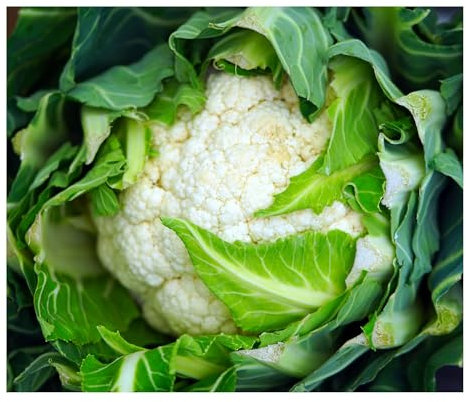 Pcs - 190x Chou-Fleur Walcheren Hiver 5 Brassique Oleracea Légumes Plantes Graines K140 - Seeds & Plants Shop by Ipsa