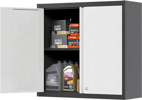 SUPEER Armario colgante de metal para herramientas con 1 estante ajustable en altura y 2 puertas, armario colgante de pared con cerradura de acero inoxidable, garaje, taller, cocina, 66 x 66 x 30 cm