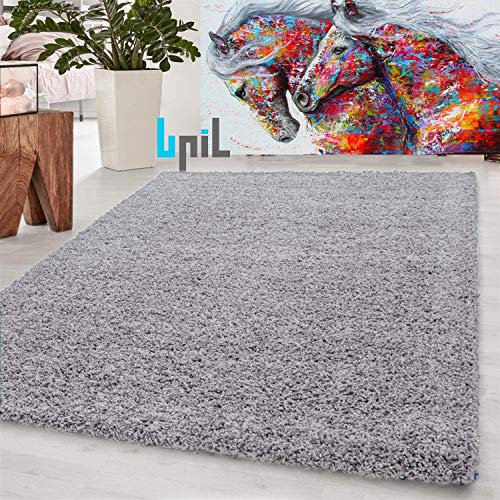 BPIL Shaggy Rugs Soft plain Thick Pile Large Small Antiskid Area Rug (Silver, 80X150CM)