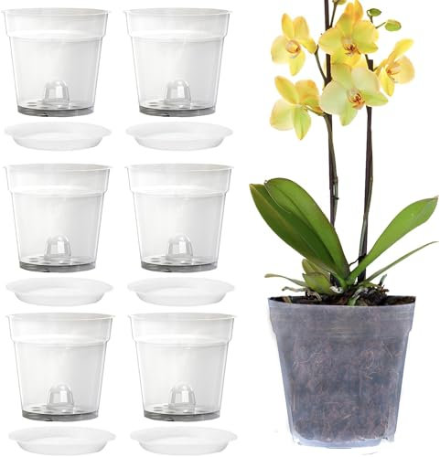 Voarge Lot de 6 Pots d'orchidées Transparents, Pots de Fleurs avec Trous et soucoupes pour orchidées pour Bureau de Balcon intérieur et extérieur