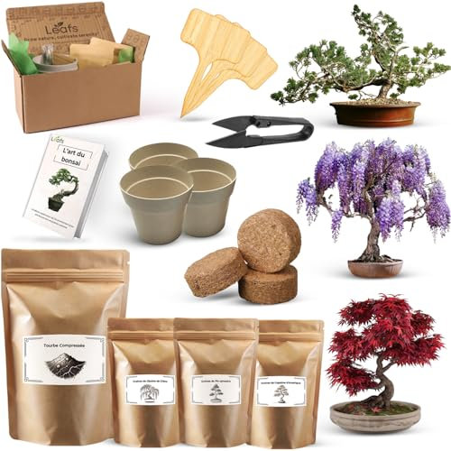 Kit De Plantation Pour Bonsais - Idéal Pour Cadeau Femme, Cadeau Homme, Cadeau Anniversaire Femme, Kit Jardinage Enfant - Cultivez Votre Propre Plante Bonsai Avec Facilité Et Élégance