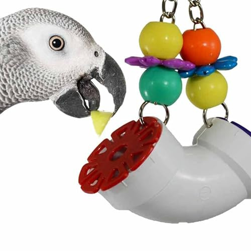 Super Bird Creations SB751 - Juguete de Rompecabezas de forrajeo para Loros, Conures, Grises africanos, comedero para pájaros, Actividad de enriquecimiento, forrajero versátil para estimulación