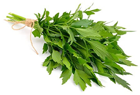 Herb Plants - 'Lovage' - 2 x Full Plants in 9cm Pots - Herbs - Lovage - Garden Ready + Ready to Plant - Premium Quality