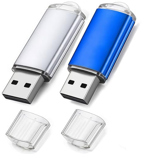 WISEORANGE 16GB Chiavetta USB 2 Pezzi Pen Drive 16 GB Metallo USB 2.0 Unità Memoria USB per l'archiviazione e il backup dei dati (2 colori)