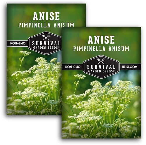 Anise Seeds for Planting - Sweet Anise Herb (Pimpinella anisum) - Culinary and Tea Garden Variety, Heirloom Non GMO - Survival Garden Seeds (2 Pack)