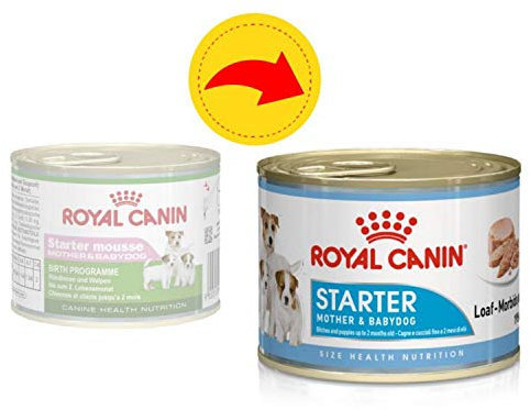 ROYAL CANIN Starter Mousse, Mother & Babydog Dog Food Cans 6 X 195g and Little Gift