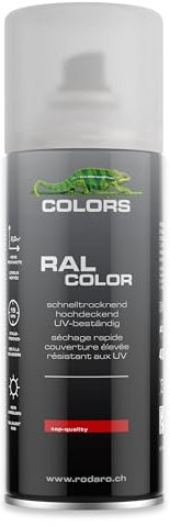 COLORS Sprühlack - 400ml Spraydose - Sprühfarbe für alle Oberflächen, Innen und Aussenbereich, Tolle Deckkraft | Klarlack Matt