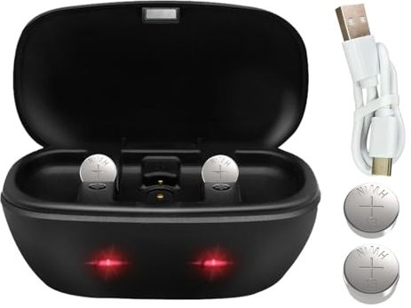 Wokyo Piles rechargeables pour appareils auditifs et chargeur pour 13 amplificateurs d'appareils auditifs Chargeur de batterie avec 2 piles rechargeables bouton P13 (chargeur + 2 piles rechargeables