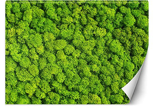 Feeby Fototapete XXL Pflanze Textur 400x280 cm Grün Vliestapete Moderne Design Wandtapete Küche Flur Wohnzimmer Büro Badezimmer Kinderzimmer Nachahmung Moos Natur