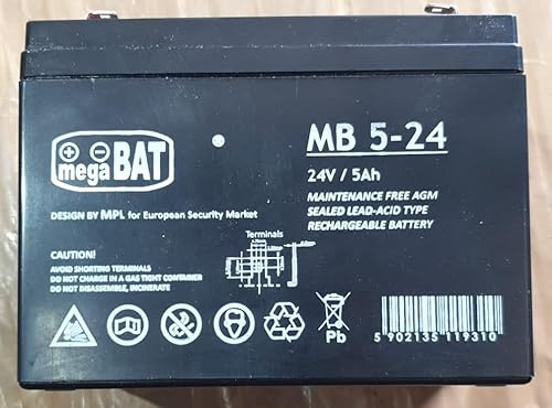 INDALCHESS Batterie 24 V pour voitures électriques pour enfants (5 Ah)