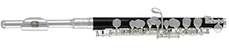 Roy Benson Piccoloflöjt PC-502 (Premium syntetisk träkropp, eleganta, silverpläterade nickel silver komponenter och tillbehör, för topprestanda, idealiskt instrument för proffs och nybörjare)
