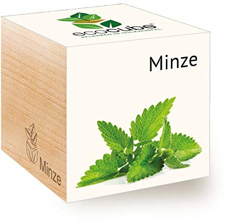 Feel Green 296466 Ecocube Minze, Nachhaltige Geschenkidee (100% Eco Friendly), Grow Your Own/Anzuchtset, Pflanzen Im Holzwürfel, Made in Austria