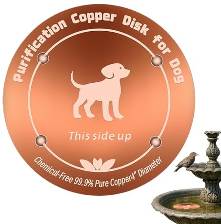 Disco de Cobre para alimentador de Agua de Pollo, Bandeja Reforzada de Cobre Natural de 3.9 Pulgadas, de Agua para pájaros, para Alimentos para Mascotas, pajarera, Pinza, Loros, hogar, jardín