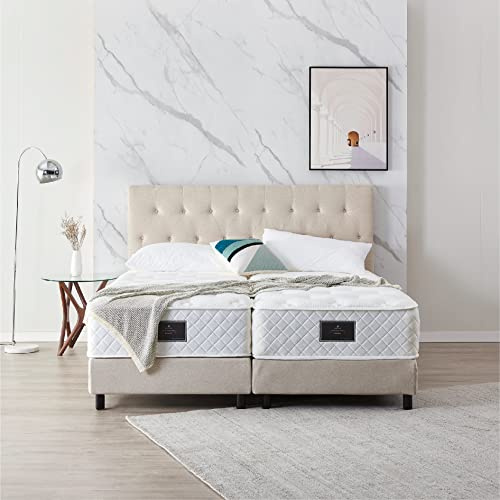 De RUCCI Boxspringbett Modell 211 mit Taschenfederkernmatratze, Bestes Preis-Leistungsverhältnis, DREI Farben und 4 Maße wählbar, Lager, einfache Montage (200 x 200 cm, Beige)