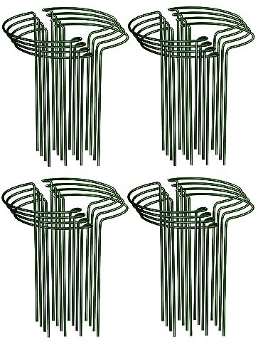 Albert Austin Pack of 16 Plant Supports for Garden Metal Frame Plant Support Stakes Easy to Install Protects Plant Stems Flower Supports for Plants Outdoor Vegetable Tomato Rose Hydrangea (25 x 40cm)