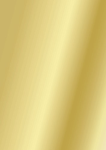 Baier & Schneider Heyda Fotokarton 50x70cm 300g go glänzend