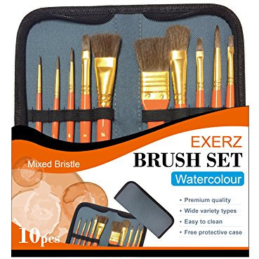 Exerz Set di pennelli per pittori - 10 pennelli professionali misti in una custodia protettiva da viaggio/perfetto per acquerelli, acrilico, tempera