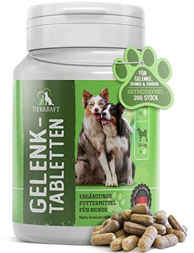 Tierkraft Lot de 200 comprimés articulaires pour chien avec moule aux orles verts, griffe du diable, chien MSM et moule aux orles vertes, protection des articulations et des os