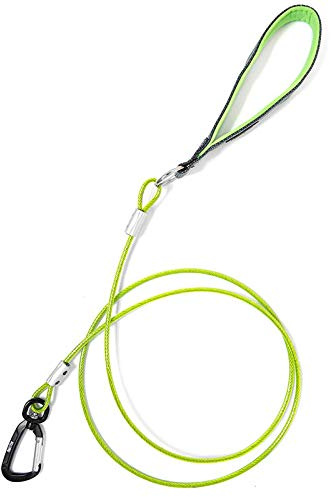 Mighty Paw Dog Leash - Anti Biting Pets Leashes - Chew Proof Metal Cable - Ideal for Large Dogs and Teething Puppies - Braided Cord with Padded Handle - Six Foot - Green