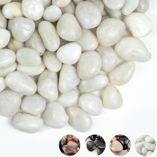 FINIKIS 10lbs Pebbles for Plants, 1-2Inch Natural White River Rocks for Aquarium, High Polished Decorative Stones for Vase Filler Fish Tank Landscaping Garden