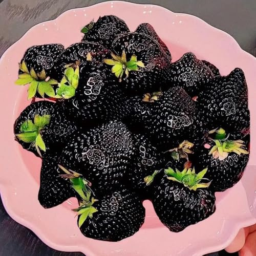 fragole - rampicanti fragola rialzata giardino sul balcone biologico, varietà antiche resistenti in vaso giardino roccioso, 400semi