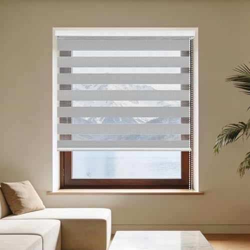 Estor Enrollable de Doble Capa Noche y Día 110 x 200 cm Fácil Instalación Estor Enrollable de Día y Noche Proteccion Solar para Ventanas Sala para Niños Sala Comedor, Gris Oscuro