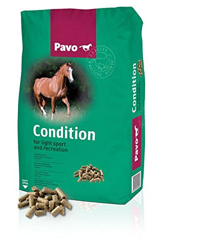 Pavo