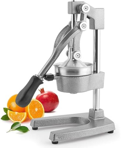 H&H 762239 Spremimelograno a Leva Professionale, Metallo Colore Grigio, 29X40cm