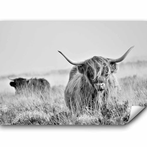 murando - Fototapete Premium-Vlies Tier Tiermotiven 350x256cm - Foto Tapete Wohnzimmer Moderne Vliestapete XXL Wandtapete Motivtapeten Bildtapete 3d Effekt Wand Dekoration Flur Wiese Feld Büffel
