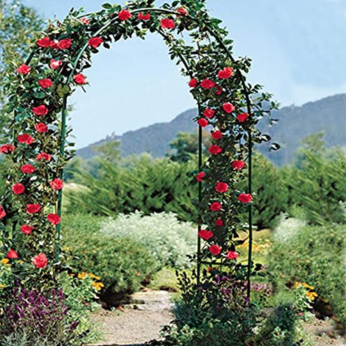 Arco de jardín de metal, soporte resistente a la intemperie para rosas trepadoras, soporte para plantas de interior/exterior, perfecto para decoración de bodas, pérgolas de jardín, pabellón de jardín