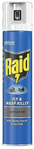 Raid Fly & Wasp Killer 300ml/6 UK.