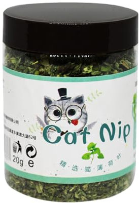 zwxqe Katzenminze-Pflanze, frisches Katzenminzekraut, interaktiver, beruhigender Lockstoff, Topfgrün, Katzenspielzeug, ideal für Kätzchen-Spielzeit und Haustierunterhaltung