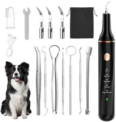 Kit de Limpieza de Sarro Dental Ultrasónico para Perros y Gatos, Detartrador Cepillos Ultrasónicos de Dientes Quita Manchas Limpiador, 5 Modos de Limpieza y 4 Cabezales de Limpieza para Mascotas