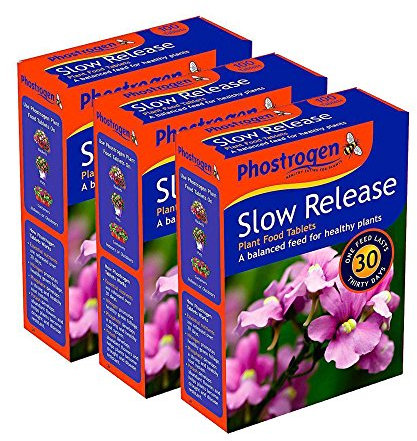 3 PACK Phostrogen Slow Release Food Plant Tablets 300 Tablets - Balanced Feed for Healthy Plants