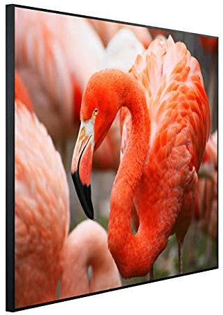 Ecowelle Infrared Heater with Picture 600 Watt 60 x 100 cm Infrared Heater Made in Germany