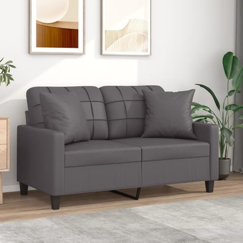 SECOLI Sofa 2 sitzer 2 sitzer Sofa 2er Couch mit Zierkissen Lounge Couch Sofa Couch für Wohnzimmer/Schlafzimmer/Büro/Wohnung-2-Sitzer:120cm-Grau-Kunstleder