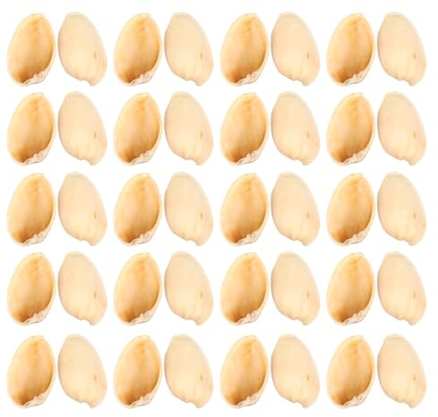 Cabilock Coquilles de Pistaches Naturelles 500G pour Bricolage Accessoires d'Artisanat Créatif Garçon et Filles Fournitures de Loisirs Manuels pour Décoration et Projets DIY