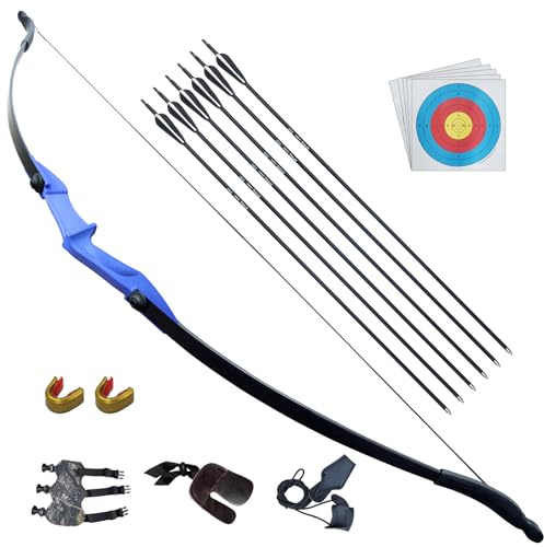 D&Q Ambidextrous Recurve Bow and Arrow 40Lbs Archery Set for Adult Junior Beginner Teenager Youth Outdoor Training Target Practice Takedown Bow Kit with Arrows Left Right Handed (Blue, 30LB)