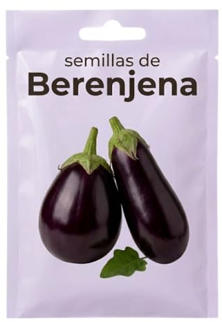 DECOALIVE Semillas de Berenjena Tradicional para Huerto en Casa y Producción Continua