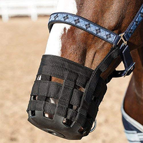 Eldorado Weidemaulkorb - Pony