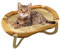 Rattan Cat Bed, Raised Cooling Chair for Indoor Cats, Scratch-Resistant Pet Furniture, Breathable Sleeping Pad for Hot Days, Floor, Living Room, Balcony Use More