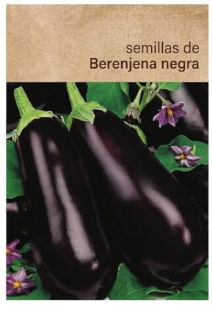Semillas de Berenjena Tradicional para Jardín Exterior DECOALIVE con Producción en Verano